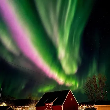 In Senja *